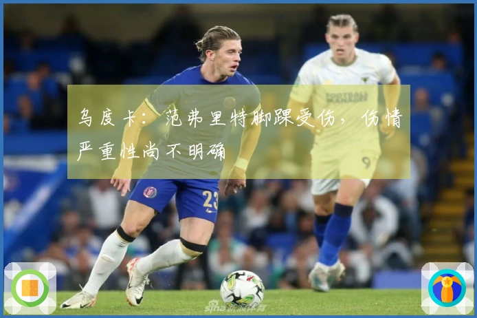 乌度卡：范弗里特脚踝受伤，伤情严重性尚不明确