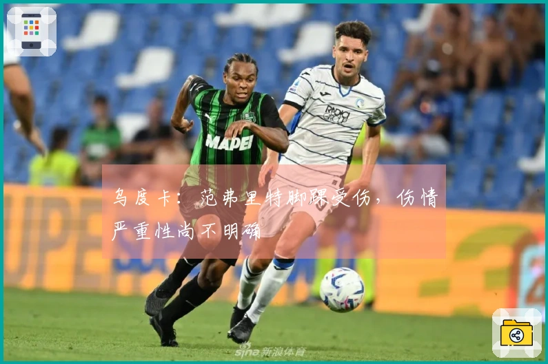 乌度卡：范弗里特脚踝受伤，伤情严重性尚不明确